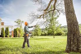 How Our Tree Care Process Works  in  West Lealman, FL