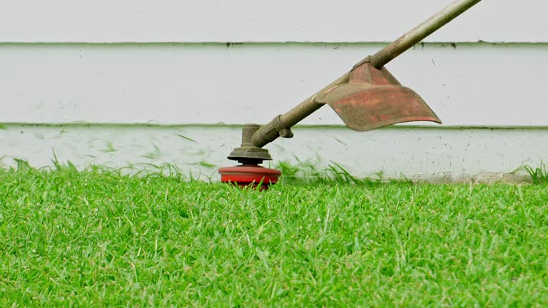 Best Lawn Grading and Leveling  in West Lealman, FL